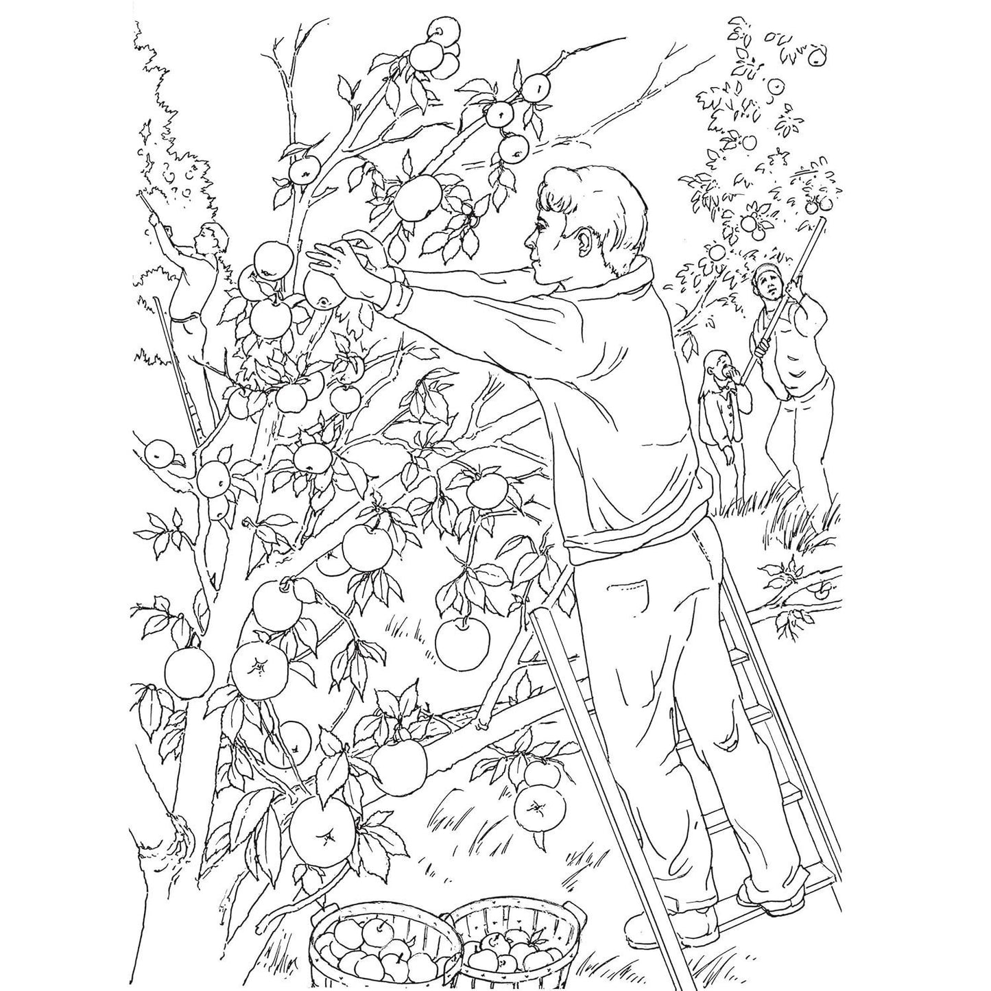 Country Scenes Coloring Book