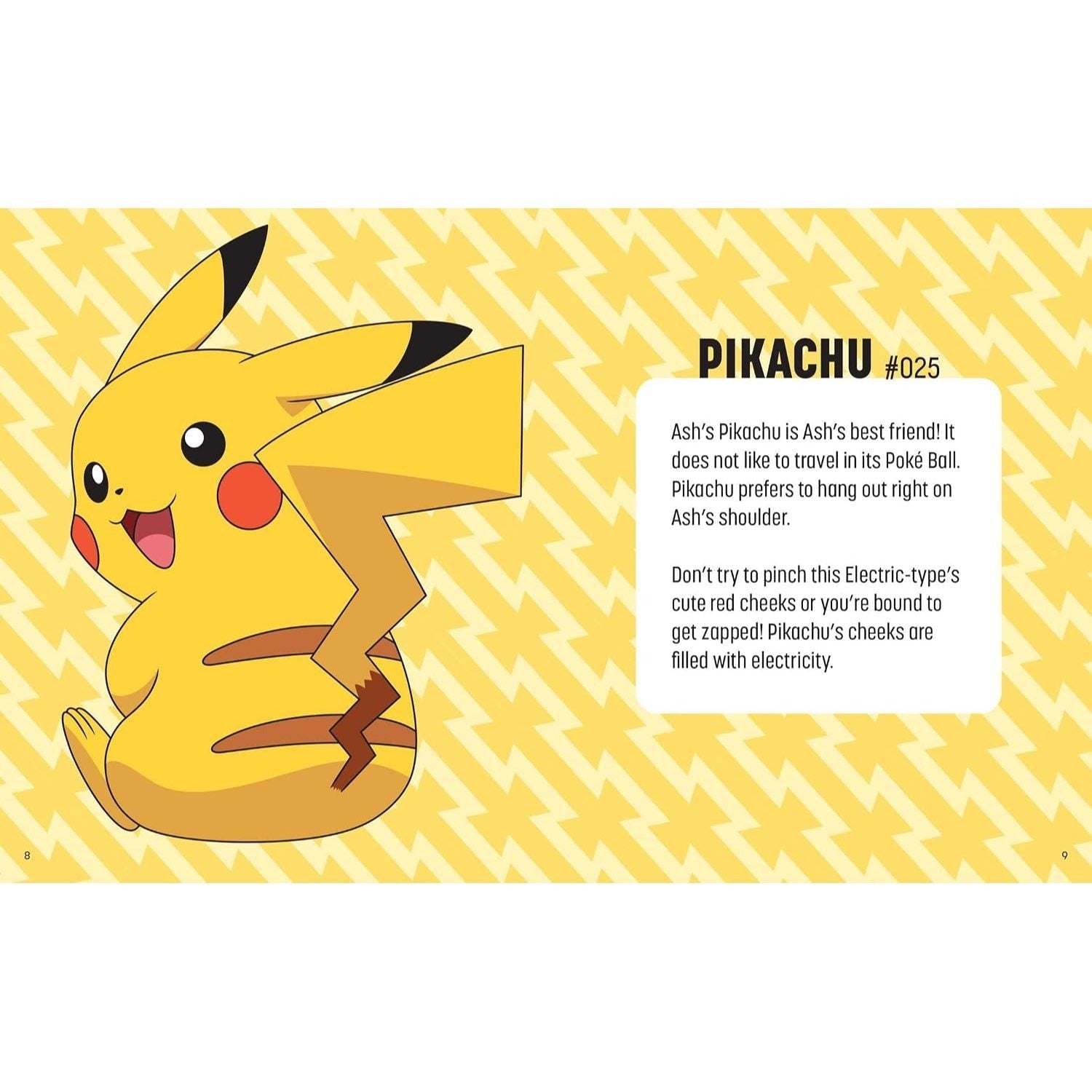 Pokémon: Trainer's Mini Exploration Guide