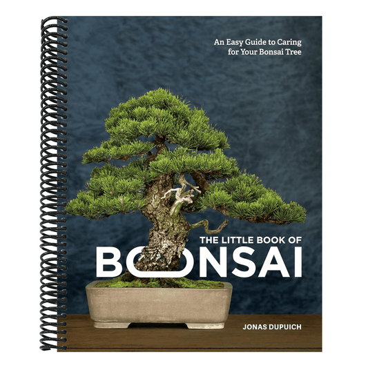 The Little Book of Bonsai: An Easy Guide to Caring for Your Bonsai Tree