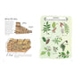 Farm Anatomy: The Curious Parts and Pieces of Country Life