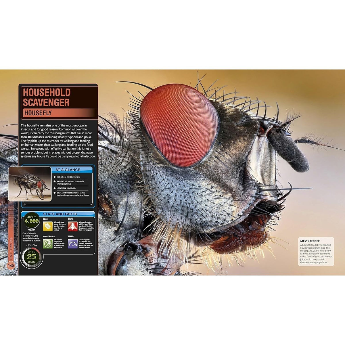 Super Bug Encyclopedia: The Biggest, Fastest, Deadliest Creepy-Crawlers on the Planet (DK Super Nature Encyclopedias) (Spiral Bound)