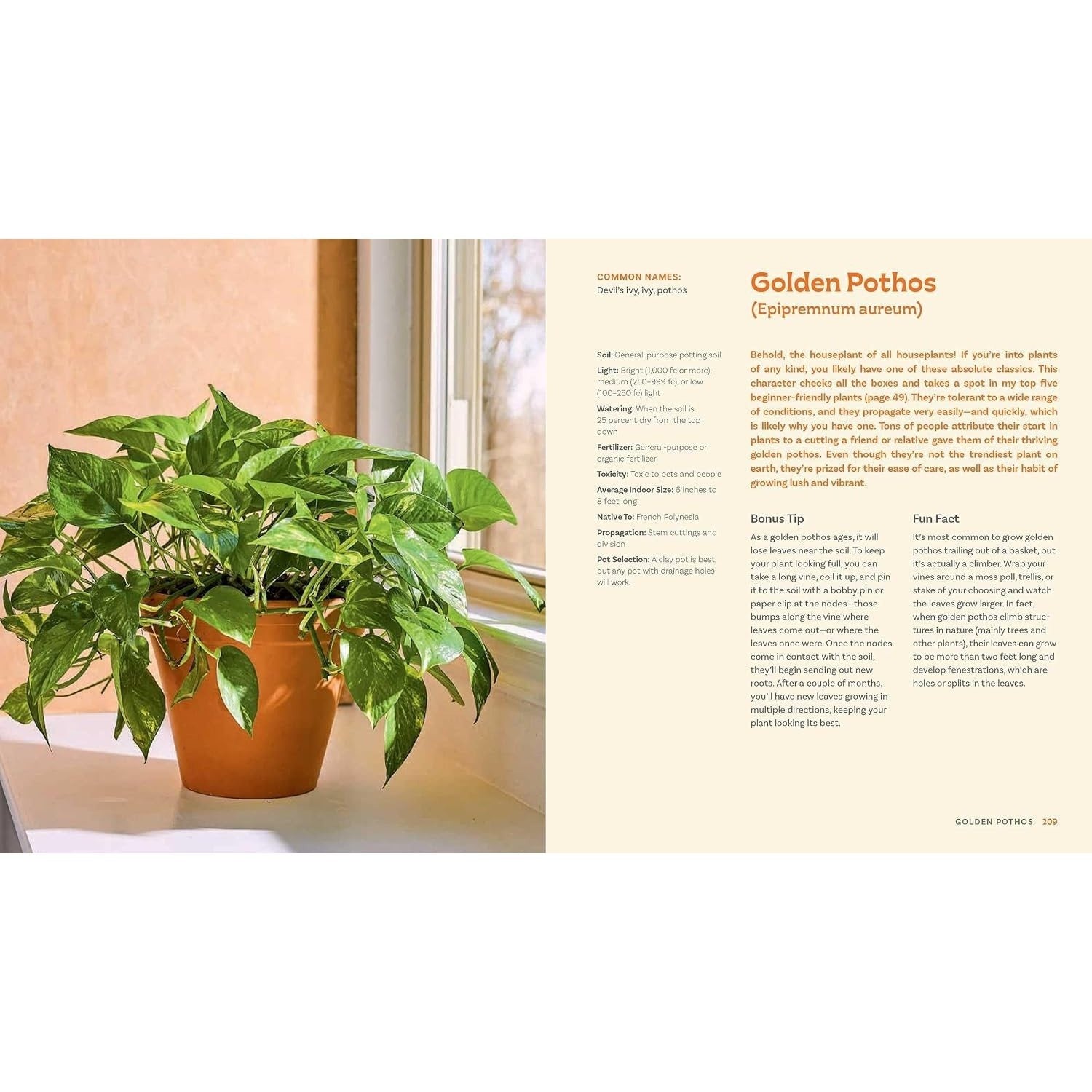 For the Love of Houseplants: Caring for & Keeping Plants with Confidence
