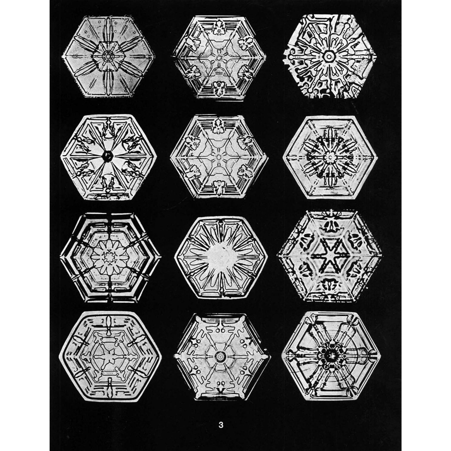 Snowflakes in Photographs