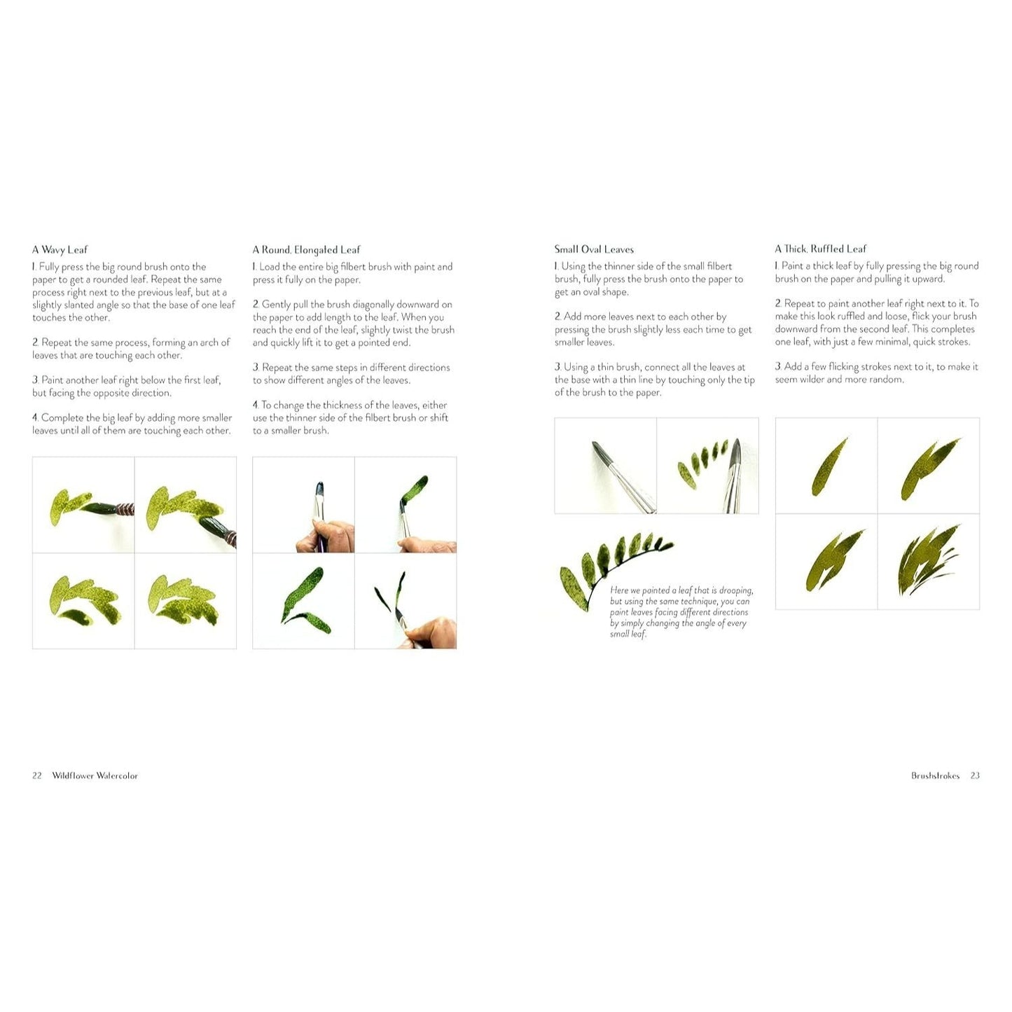Wildflower Watercolor: The Beginner's Guide to Painting Beautiful Florals