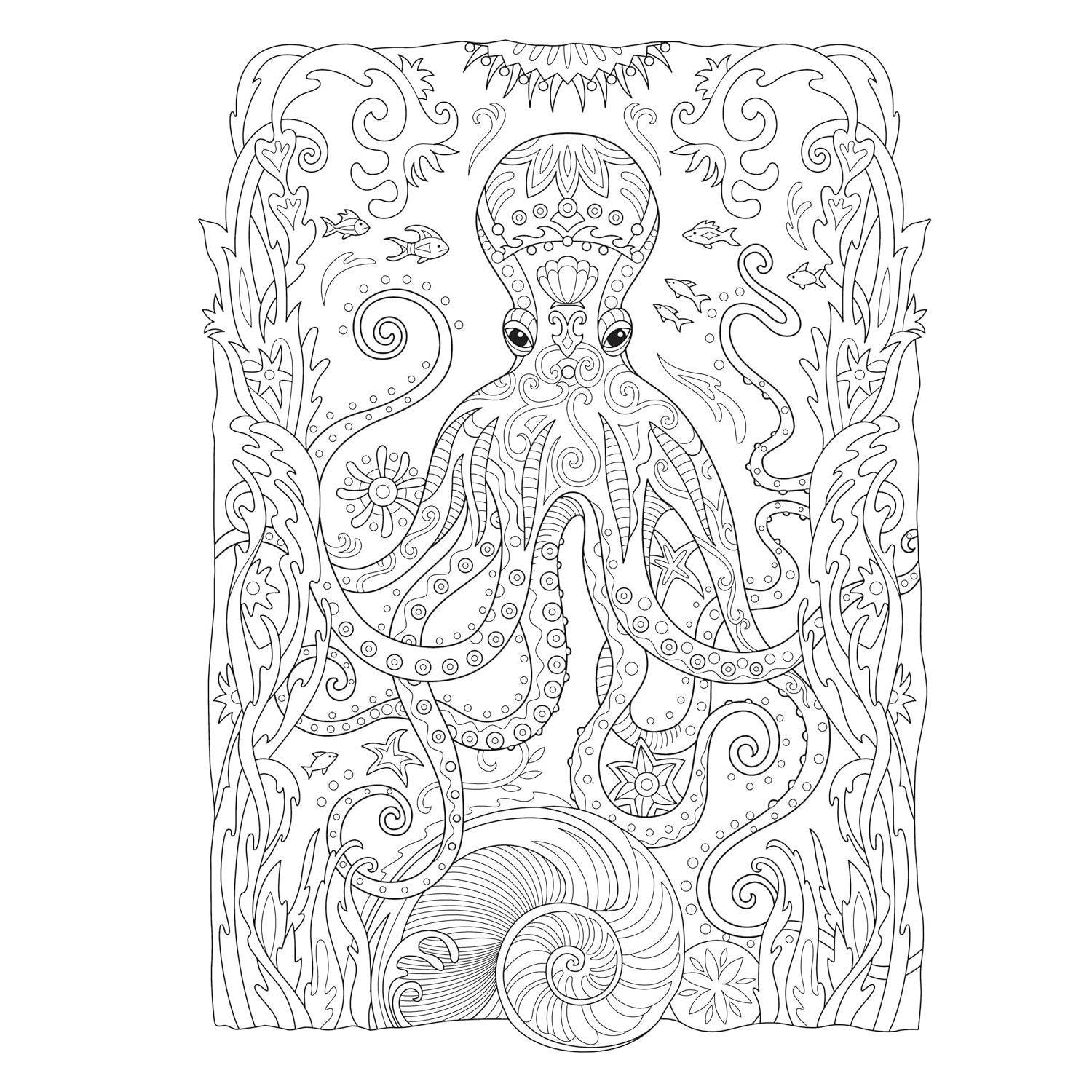 Creative Haven Fanciful Sea Life Coloring Book (Spiral Bound)