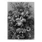Art Forms in Nature (Revised)