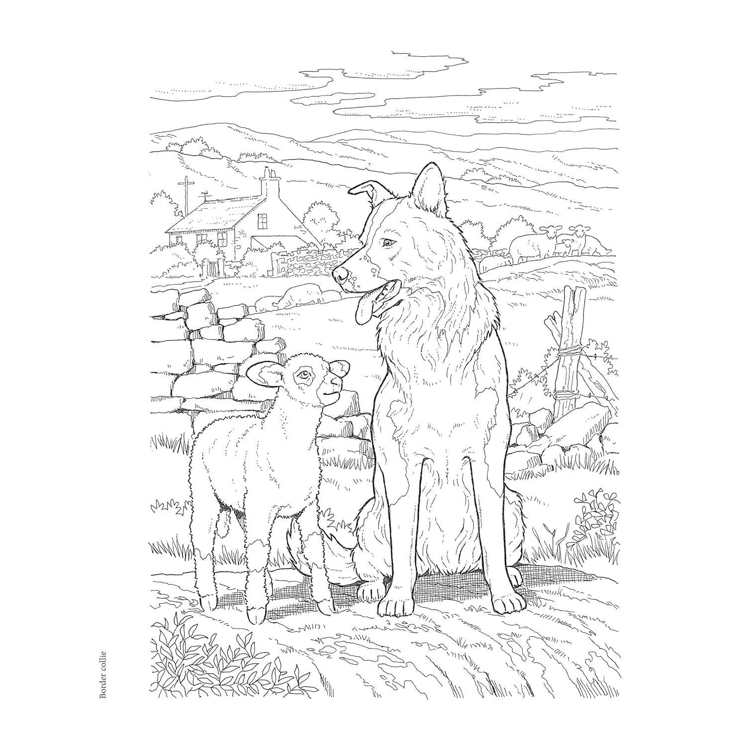 Creative Haven the Dog Lovers' Coloring Book