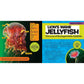 National Geographic Little Kids First Big Book of the Ocean (National Geographic Little Kids First Big Books) (Spiral Bound)