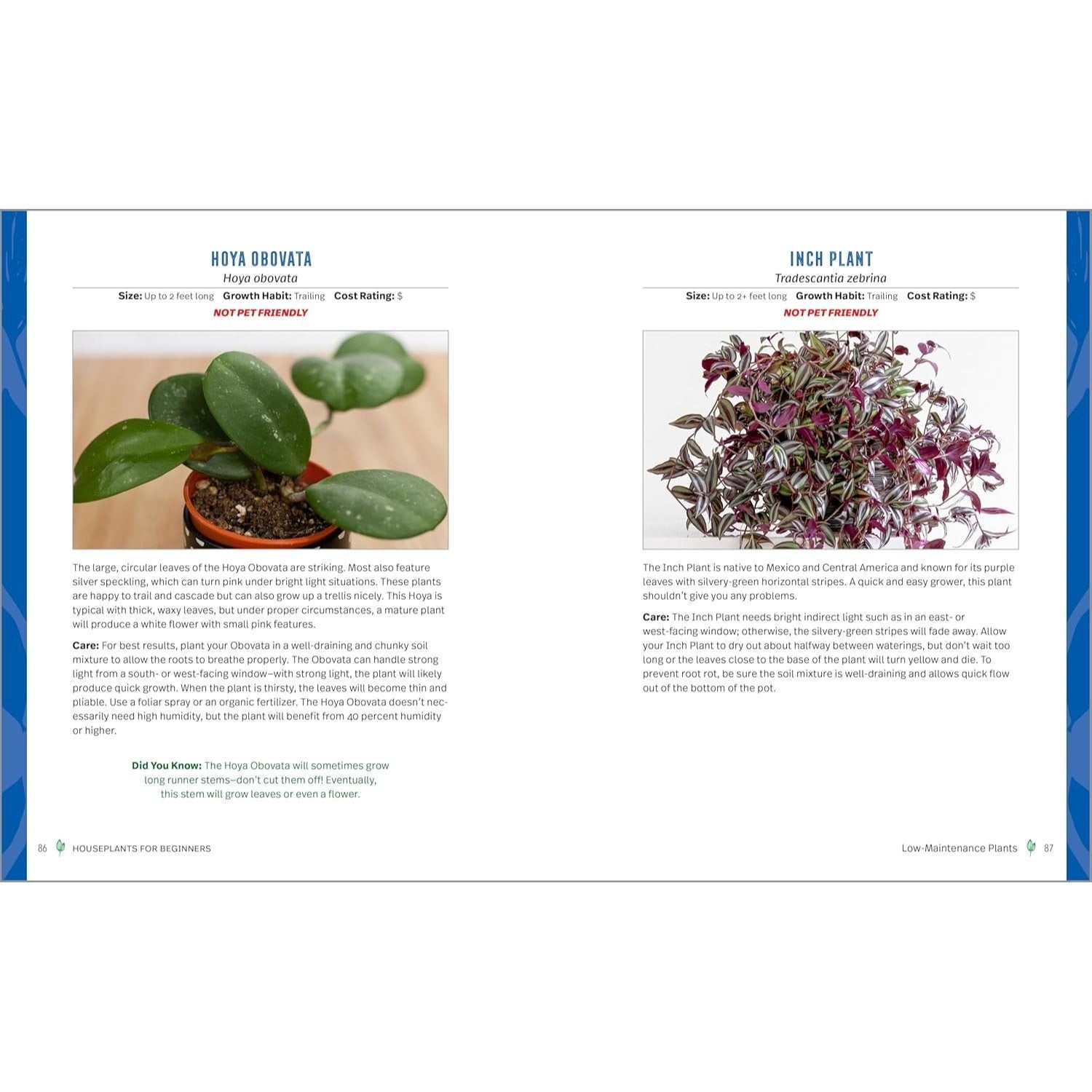 Houseplants for Beginners: A Practical Guide to Choosing, Growing, and Helping Your Plants Thrive