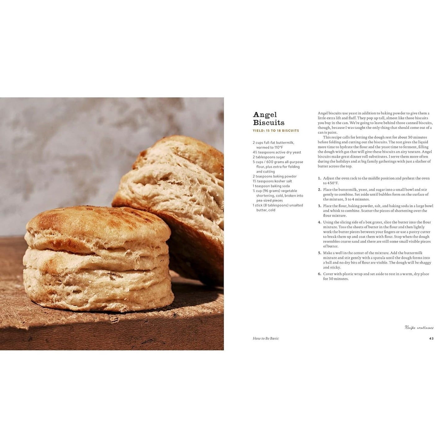 Still We Rise: A Love Letter to the Southern Biscuit with Over 70 Sweet and Savory Recipes