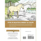 Creative Haven Great Horses Coloring Book