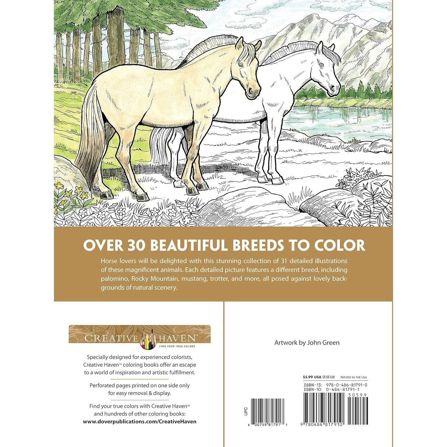 Creative Haven Great Horses Coloring Book