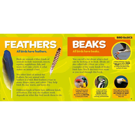 National Geographic Little Kids First Big Book of Birds (National Geographic Little Kids First Big Books) (Spiral Bound)