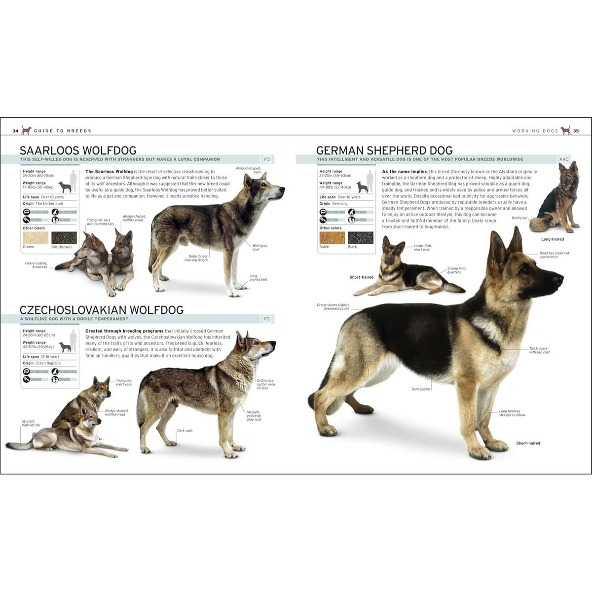The Complete Dog Breed Book, New Edition (Previously Published as Top Dog) (DK Definitive Pet Breed Guides) (Spiral Bound)