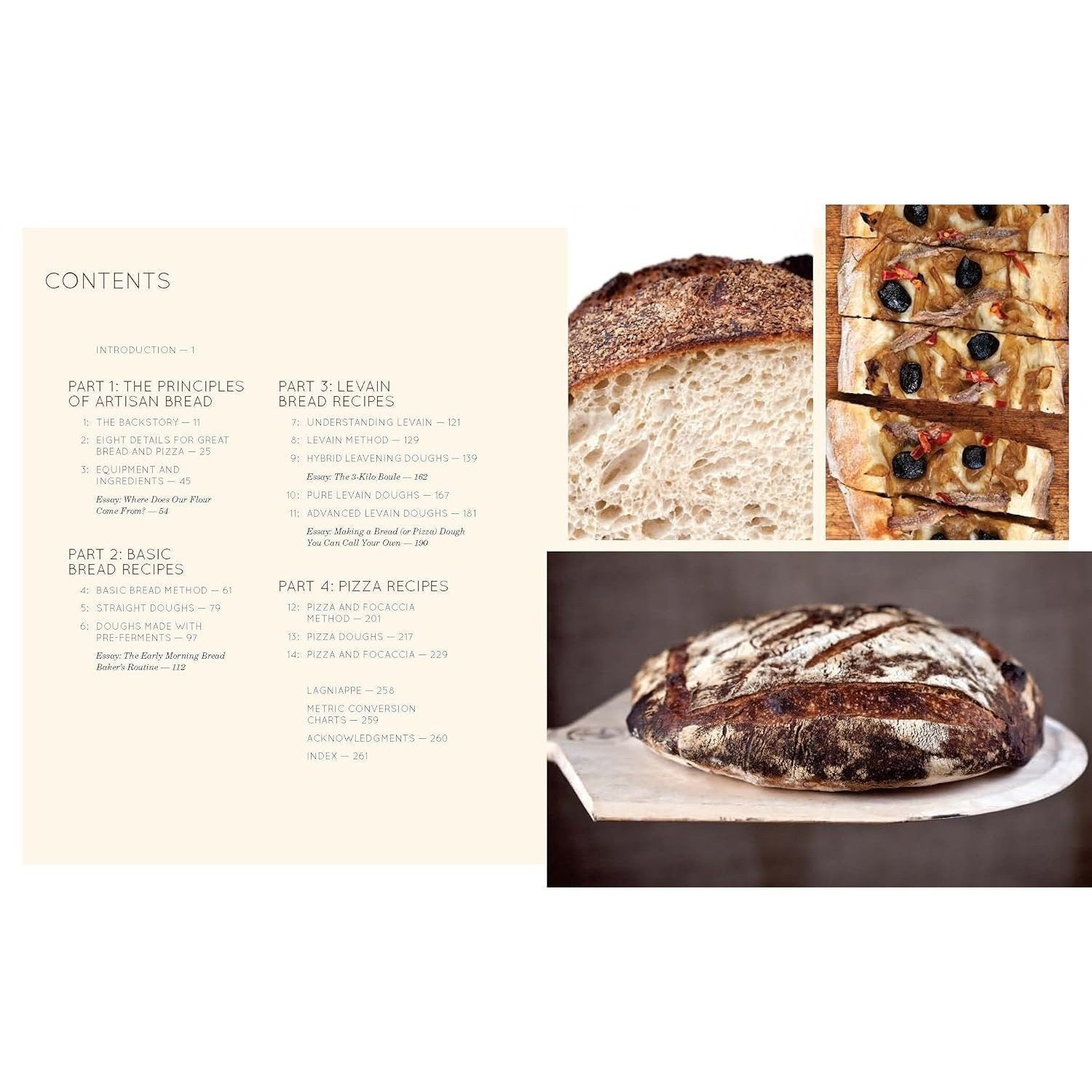 Flour Water Salt Yeast: The Fundamentals of Artisan Bread and Pizza [A Cookbook] (Spiral Bound)