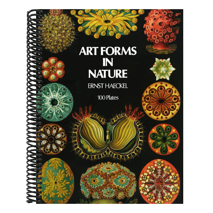 Art Forms in Nature (Revised)