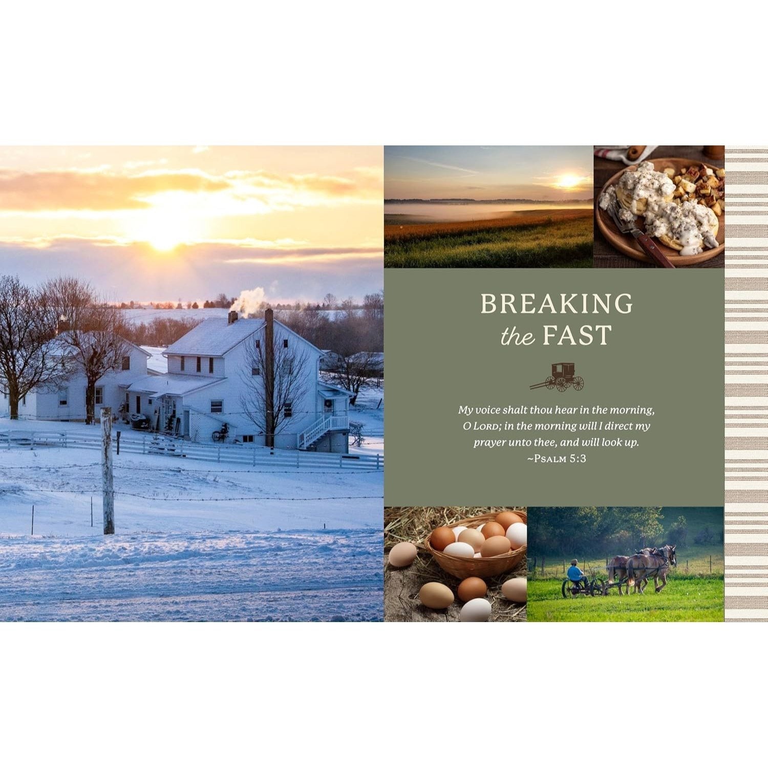 The Heart of the Amish Cookbook: 180 Traditional Amish Recipes