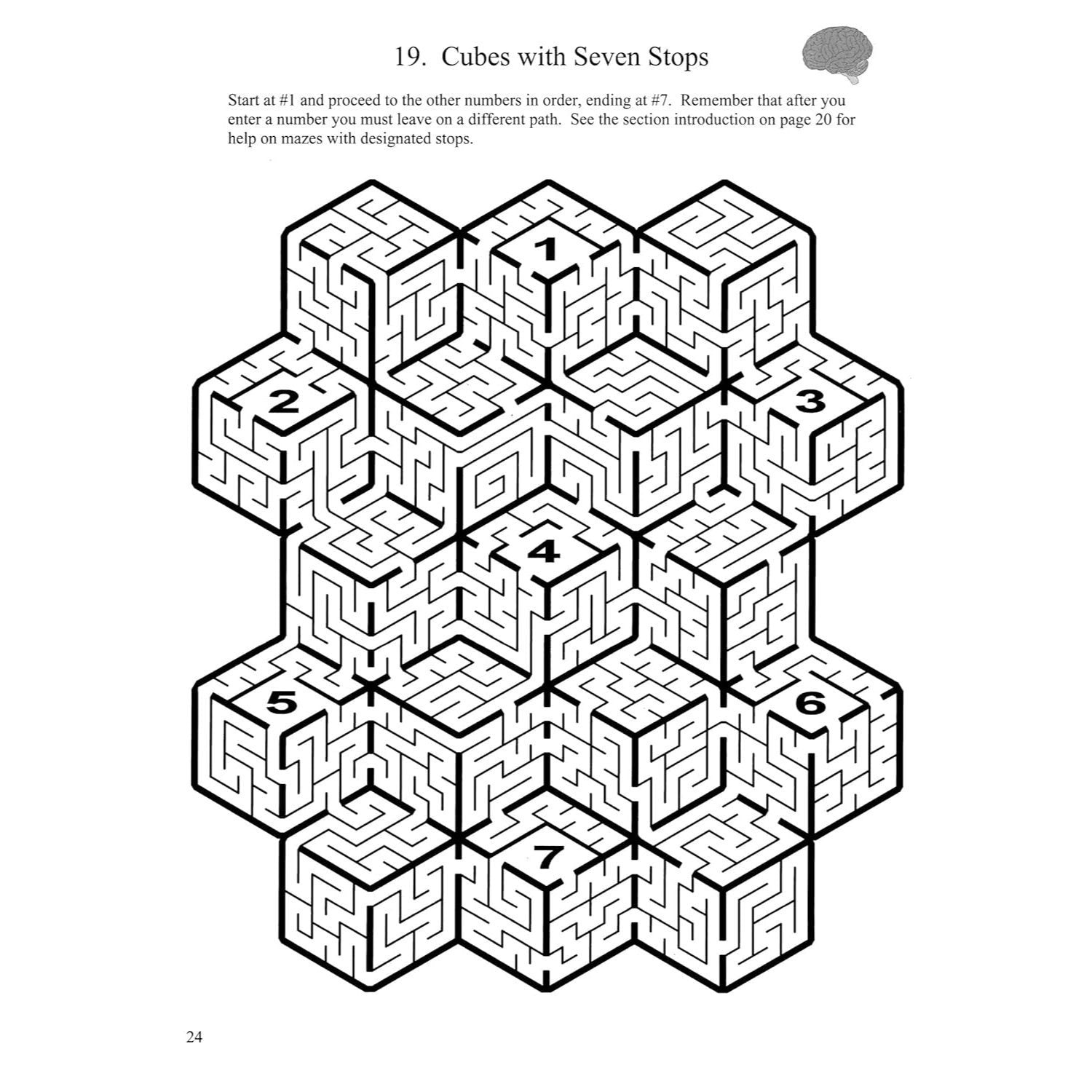 The Ultimate Maze Book