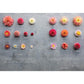 Floret Farm's Discovering Dahlias: A Guide to Growing and Arranging Magnificent Blooms