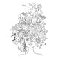 Dream: Relaxing Images to Color