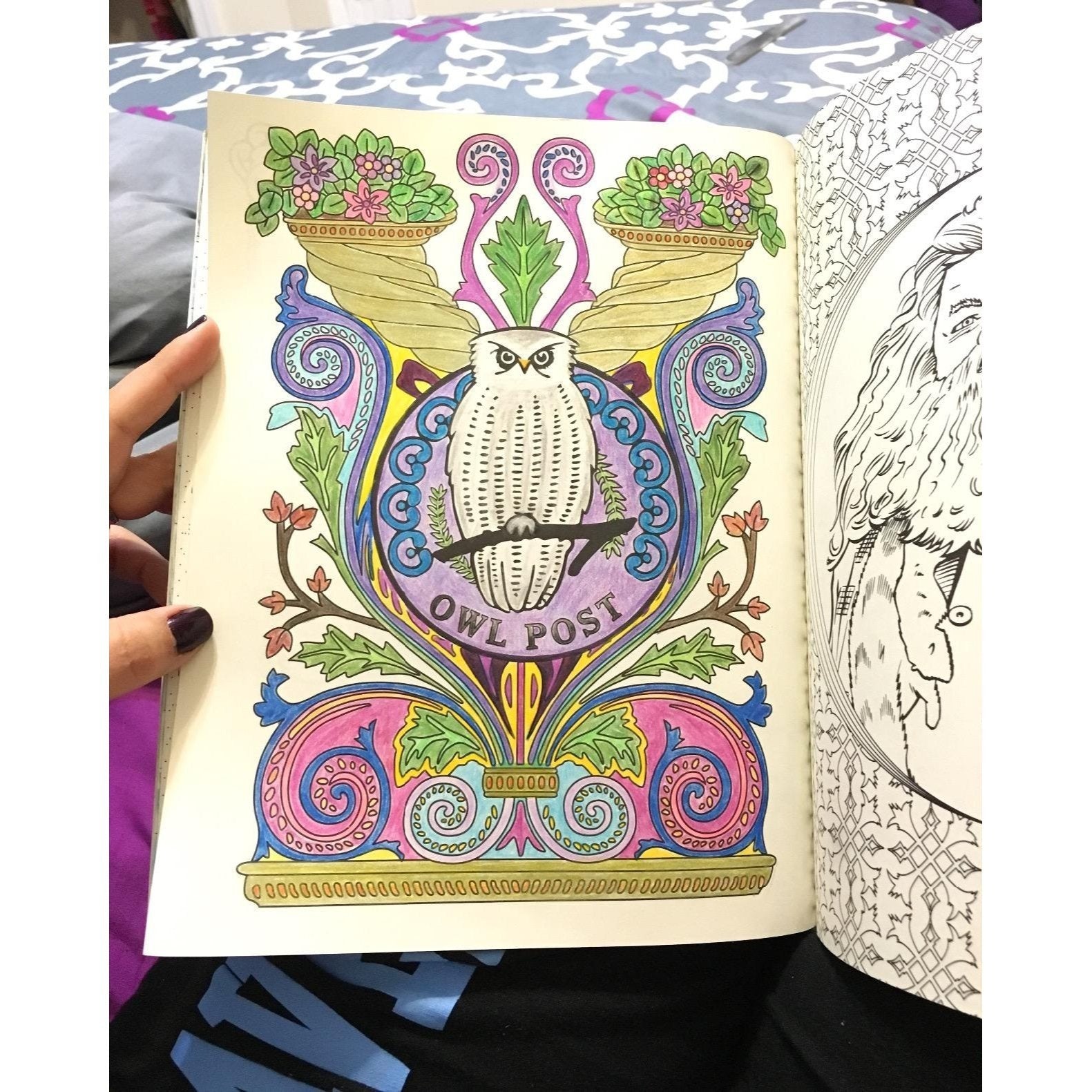 Harry Potter Coloring Book (Spiral Bound)