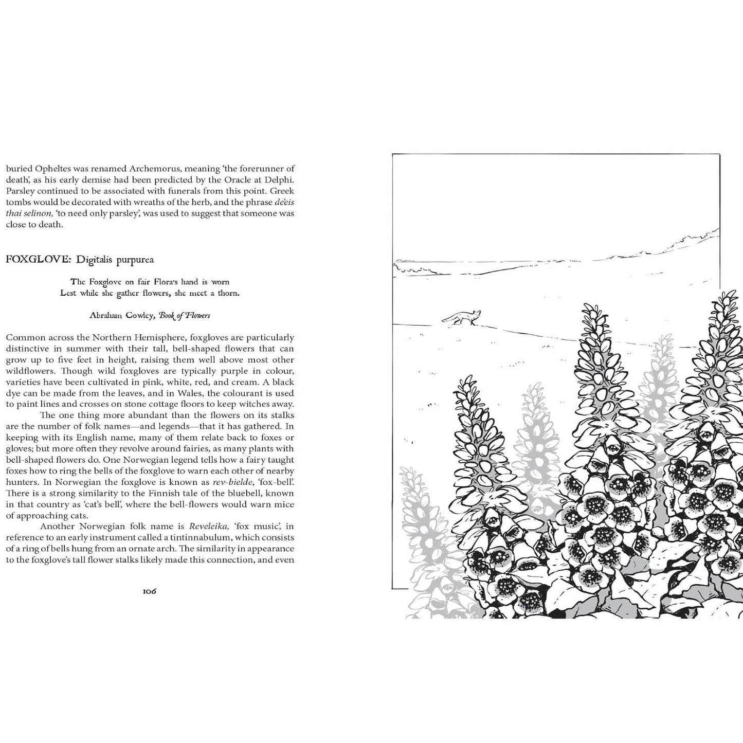Botanical Curses and Poisons: The Shadow-Lives of Plants (Spiral Bound)