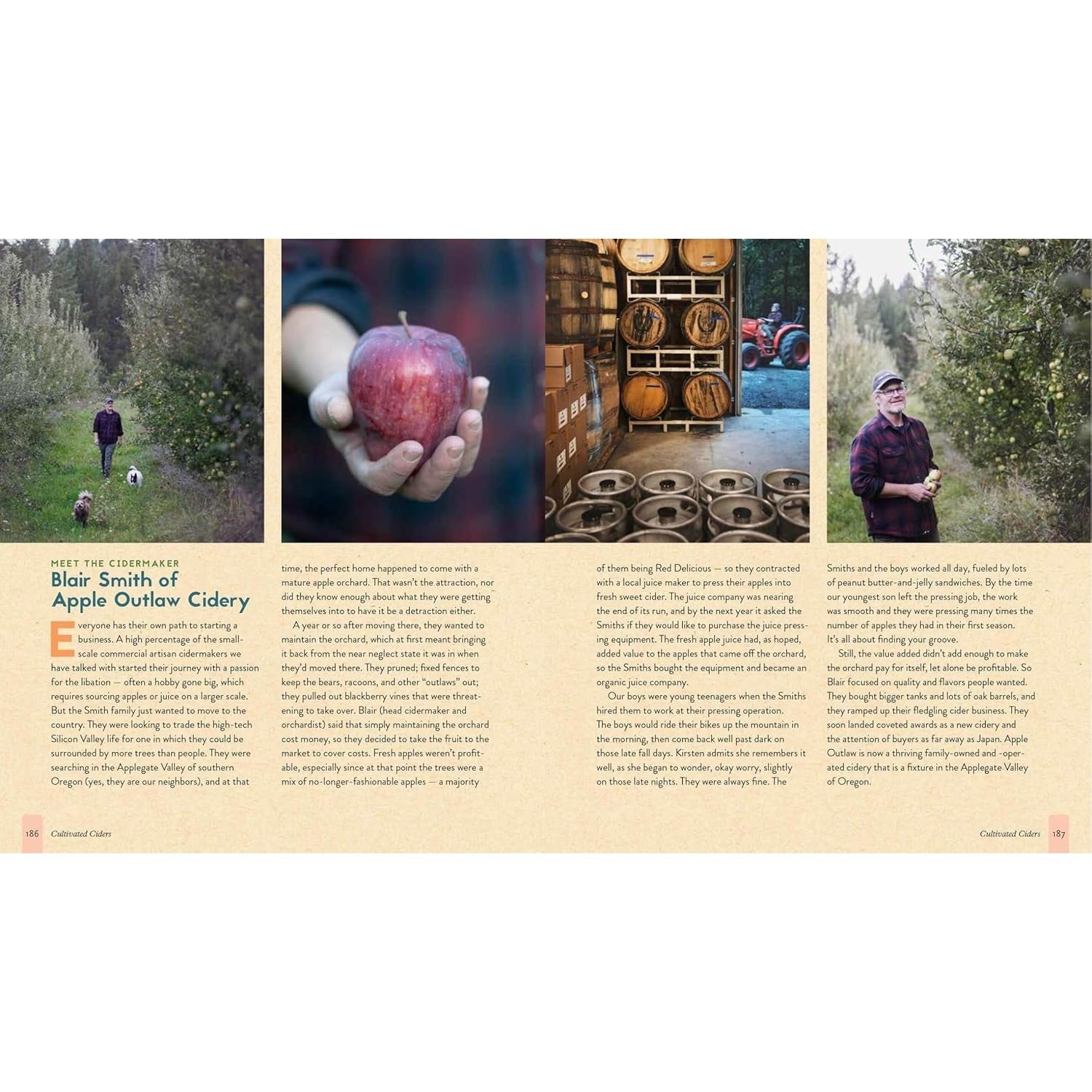 The Big Book of Cidermaking: Expert Techniques for Fermenting and Flavoring Your Favorite Hard Cider