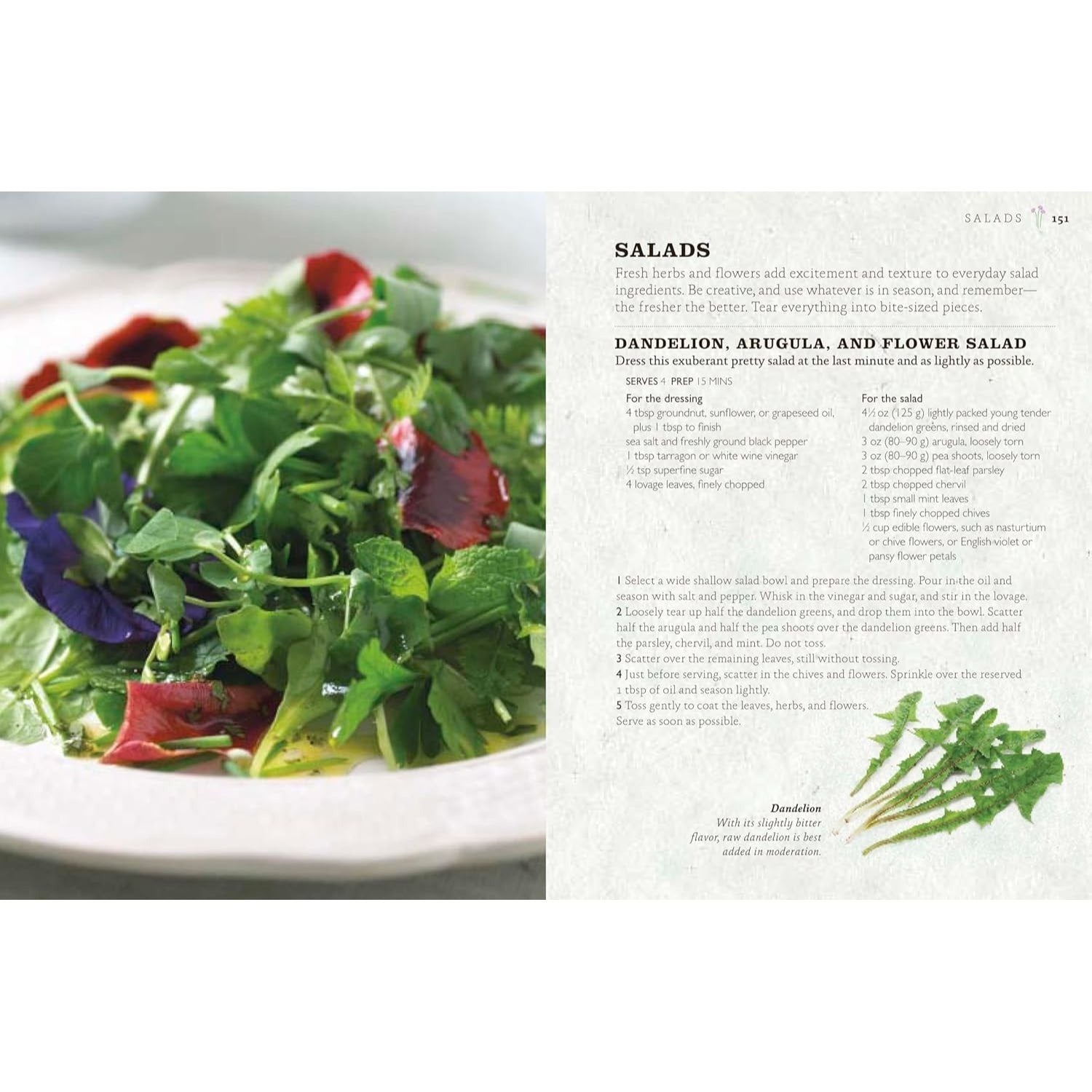 The Cook's Herb Garden: Grow, Harvest, Cook (Spiral Bound)