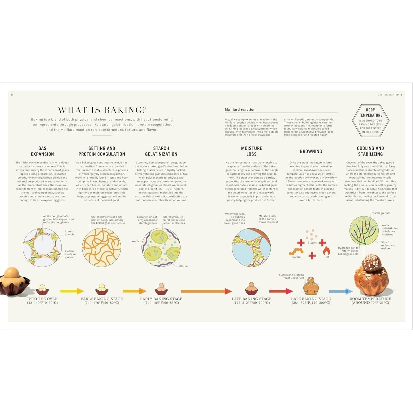 The Science of Baking: Everything You Need to Know to Create Perfect Sweet and Savory Bakes, Every Time