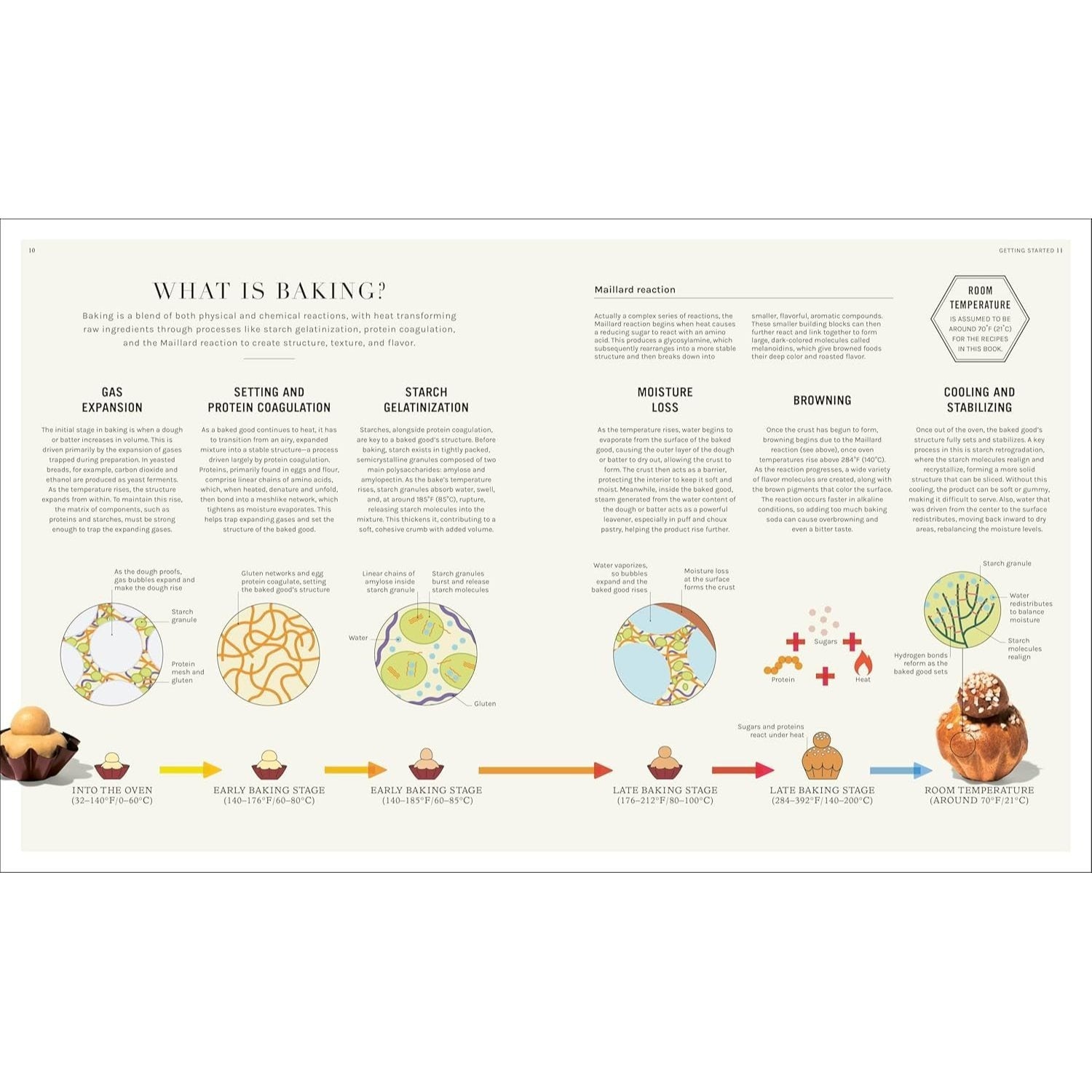 The Science of Baking: Everything You Need to Know to Create Perfect Sweet and Savory Bakes, Every Time