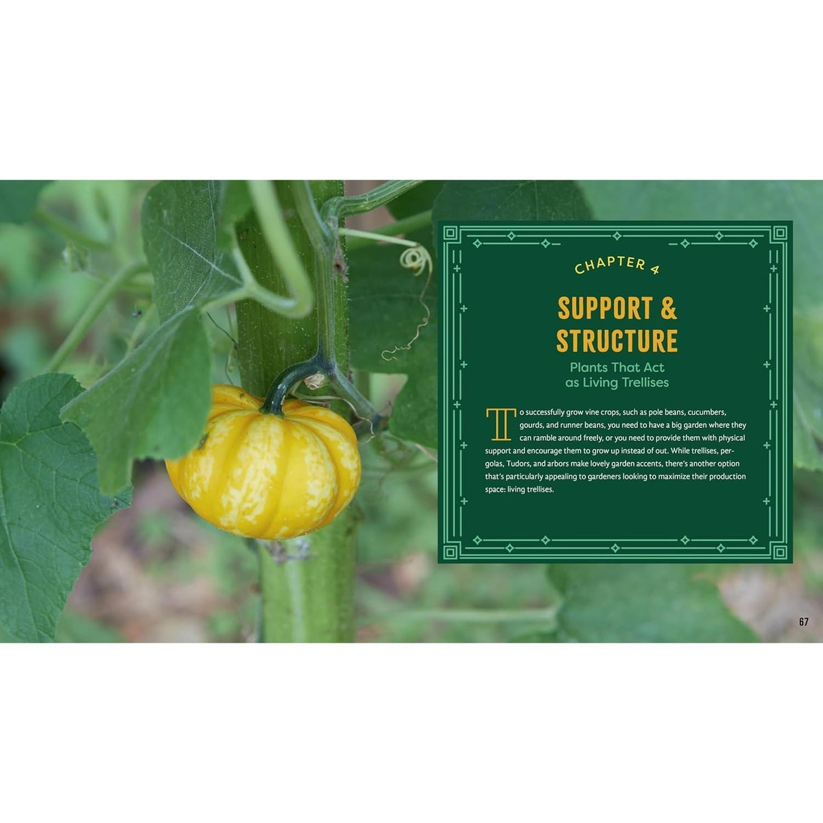 Plant Partners: Science-Based Companion Planting Strategies for the Vegetable Garden (Spiral Bound)