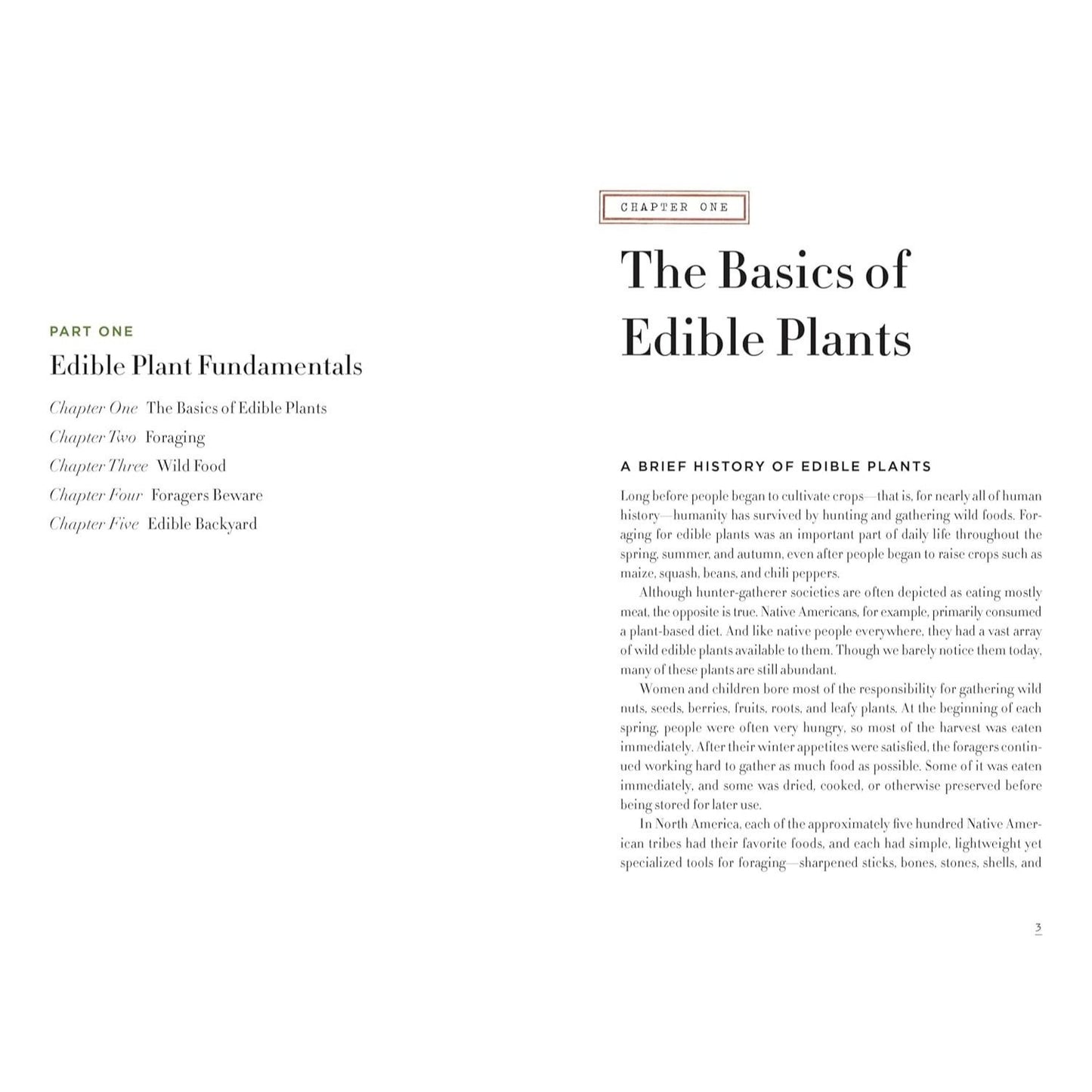 Edible Wild Plants for Beginners: The Essential Edible Plants and Recipes to Get Started