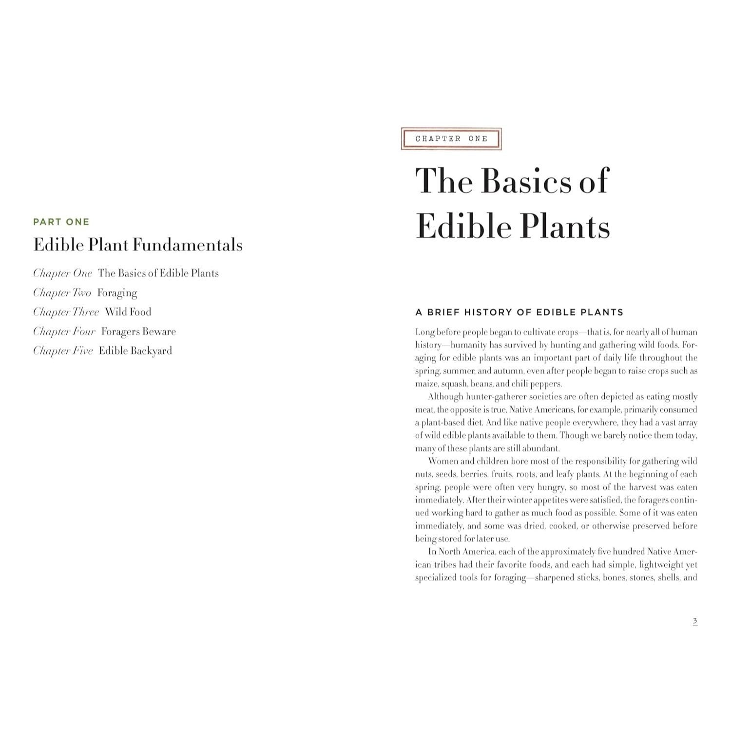 Edible Wild Plants for Beginners: The Essential Edible Plants and Recipes to Get Started