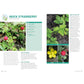 Foraging: Explore Nature's Bounty and Turn Your Foraged Finds Into Flavorful Feasts (Spiral Bound)
