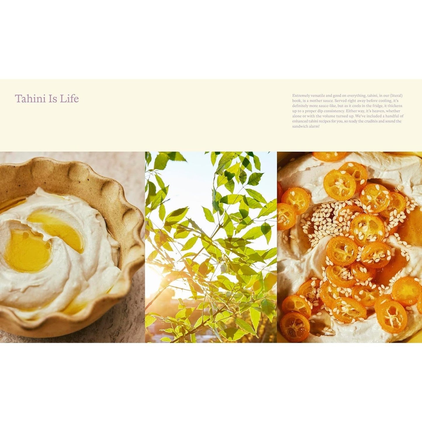 Kismet: Bright, Fresh, Vegetable-Loving Recipes (Spiral Bound)