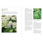 Midwest Foraging: 115 Wild and Flavorful Edibles from Burdock to Wild Peach