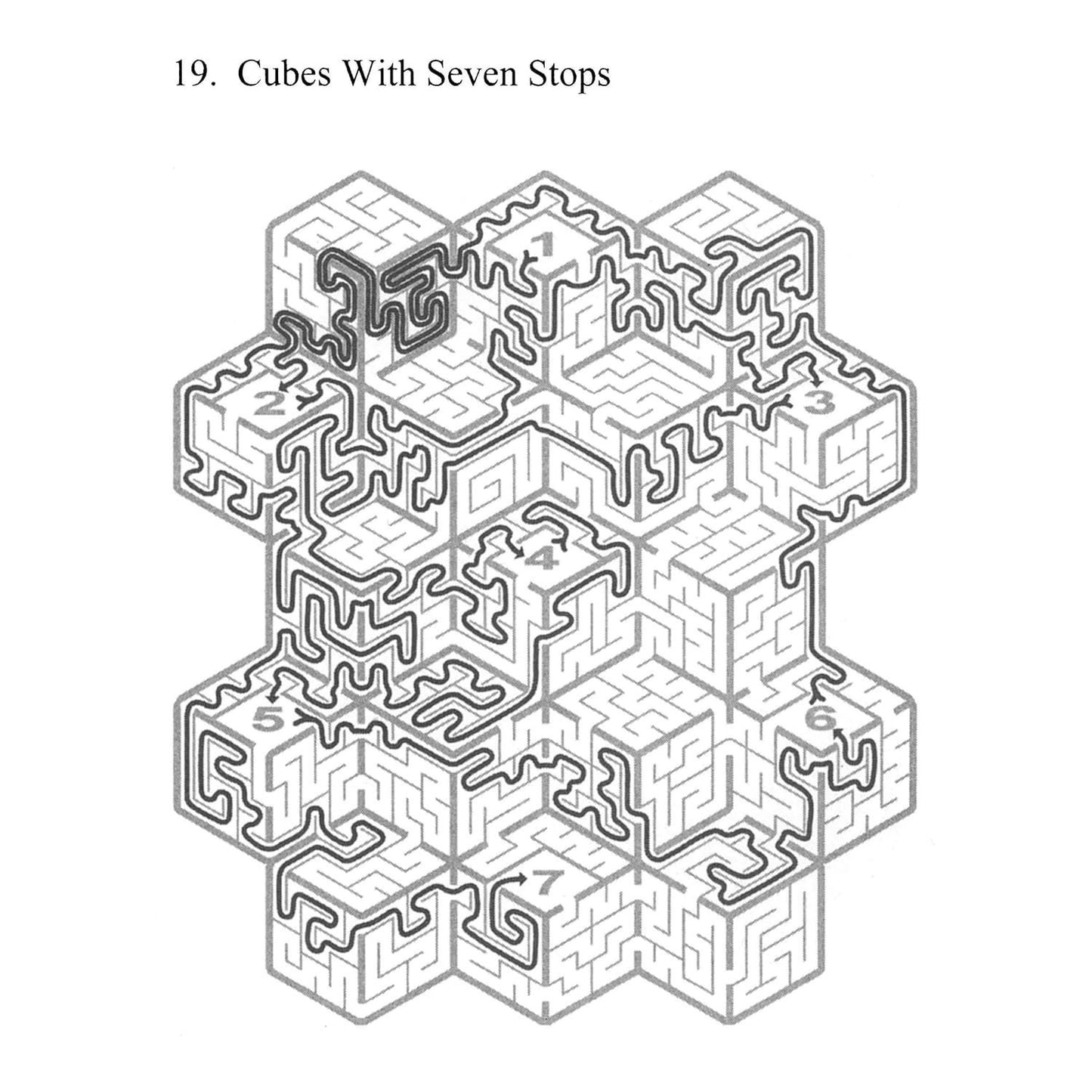 The Ultimate Maze Book
