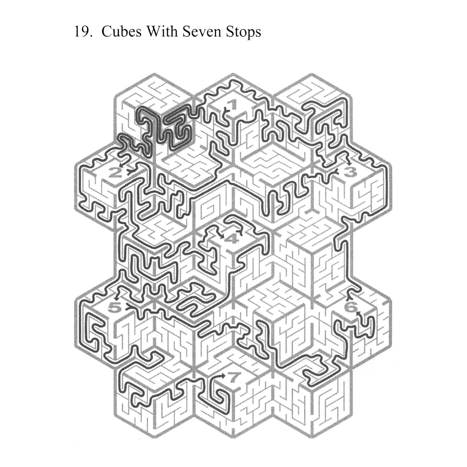 The Ultimate Maze Book