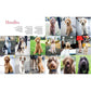 The Dogist: Photographic Encounters with 1,000 Dogs (Spiral Bound)