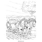 Wonderful World of Horses Coloring Book (Spiral Bound)