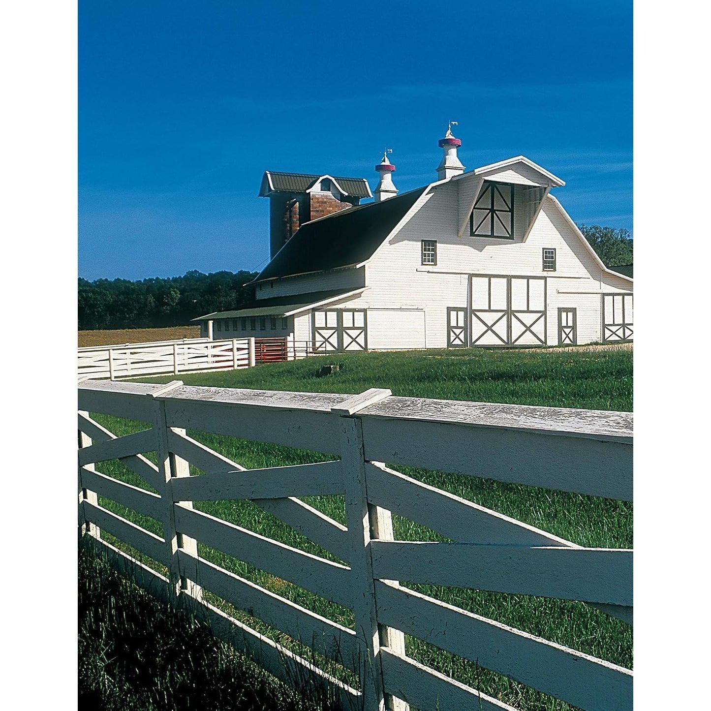 Ultimate Guide: Barns, Sheds & Outbuildings, Updated 4th Edition: Step-By-Step Building and Design Instructions Plus Plans to Build More Than 100 Outb (4TH ed.) (Spiral Bound)