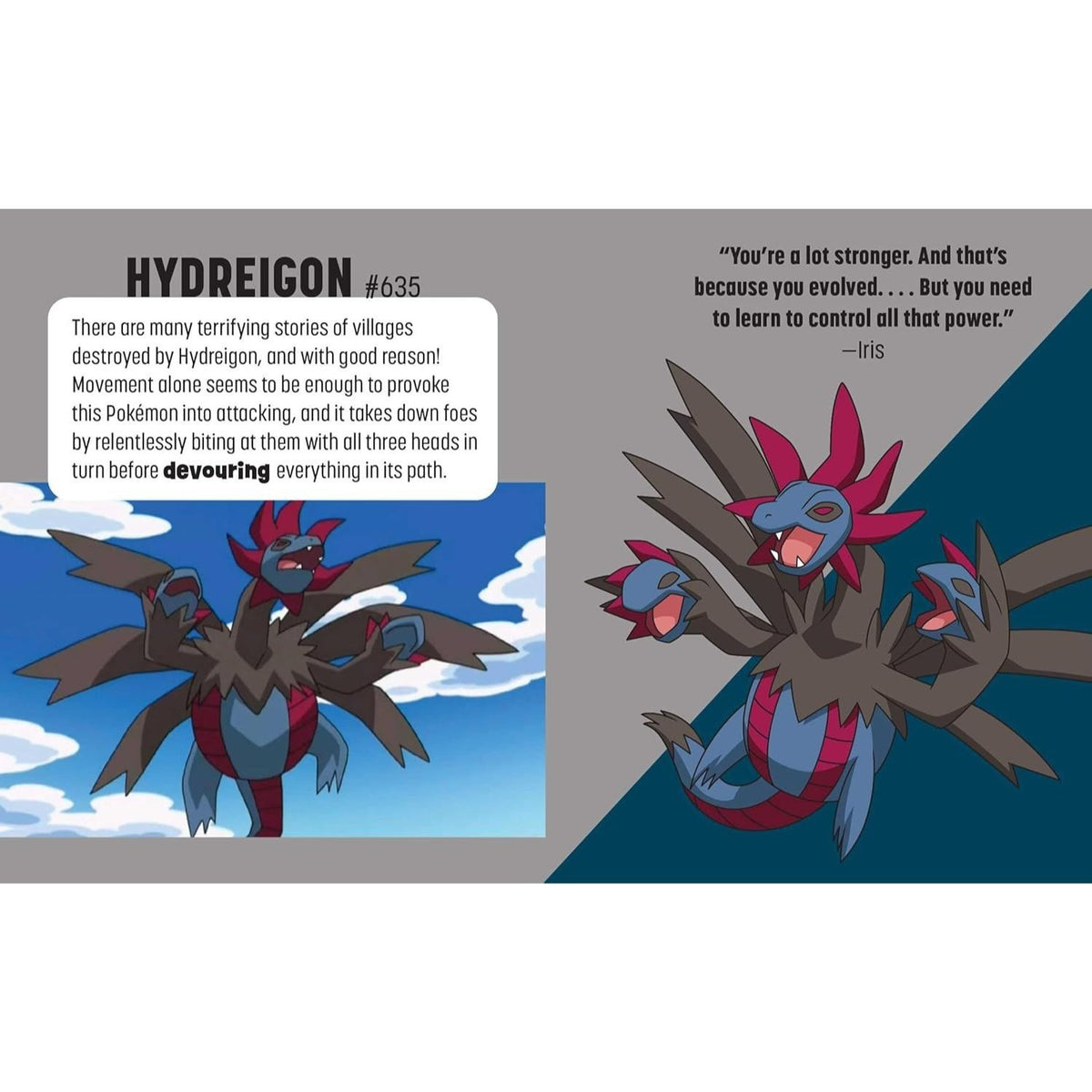 Pokémon: Trainer's Mini Exploration Guide to Unova