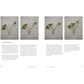 The Little Book of Bonsai: An Easy Guide to Caring for Your Bonsai Tree