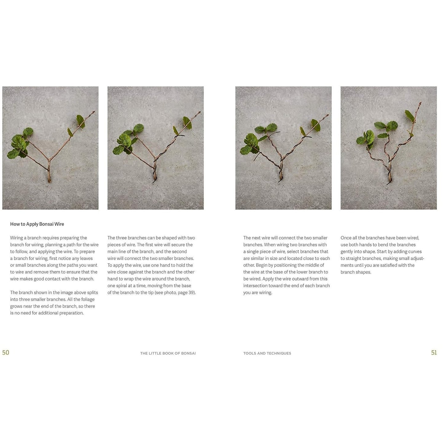 The Little Book of Bonsai: An Easy Guide to Caring for Your Bonsai Tree