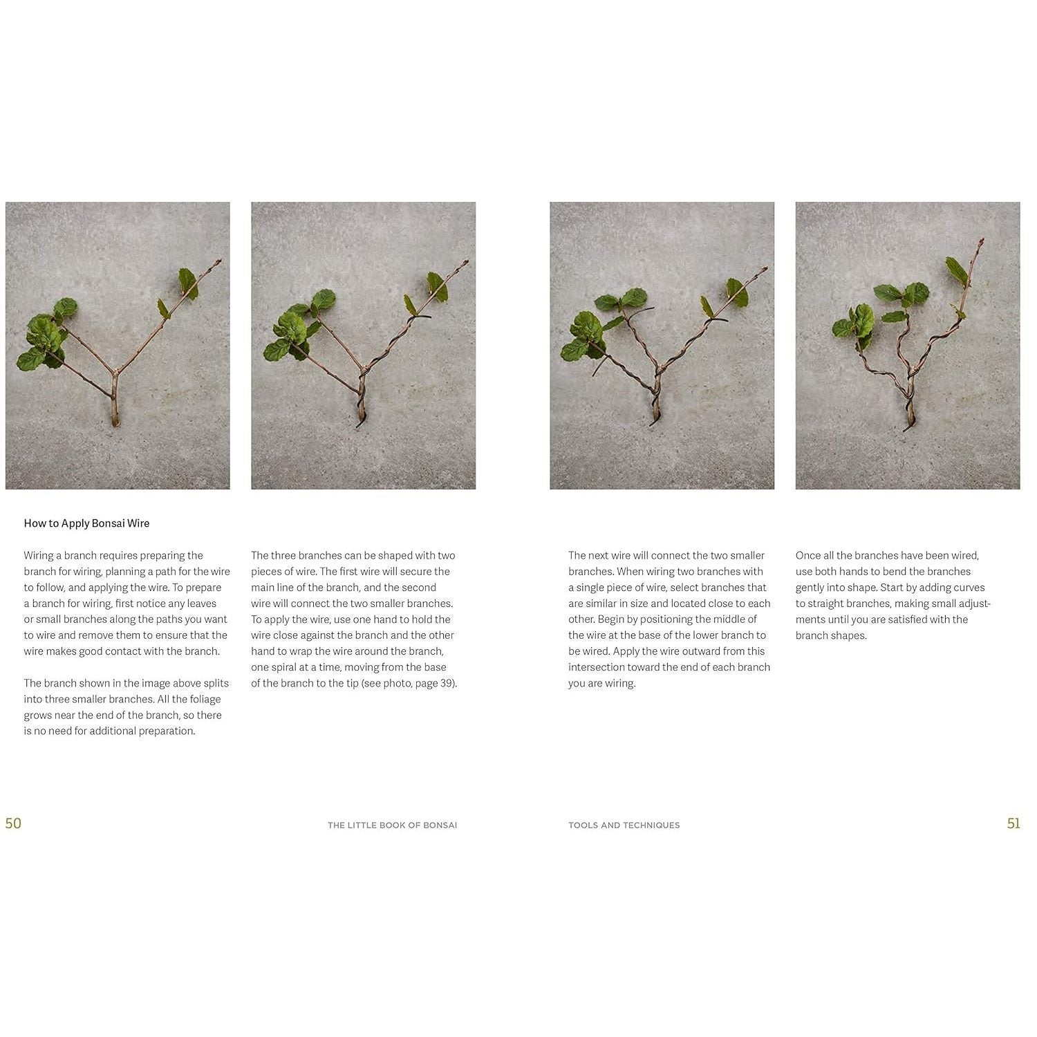 The Little Book of Bonsai: An Easy Guide to Caring for Your Bonsai Tree