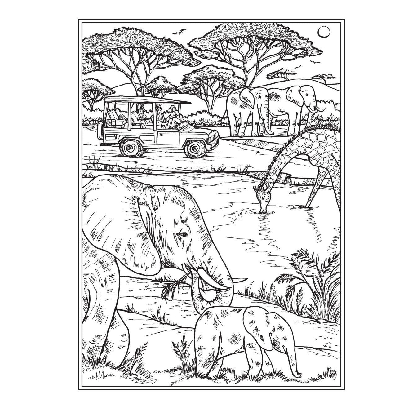 Creative Haven Wish You Were Here! Coloring Book