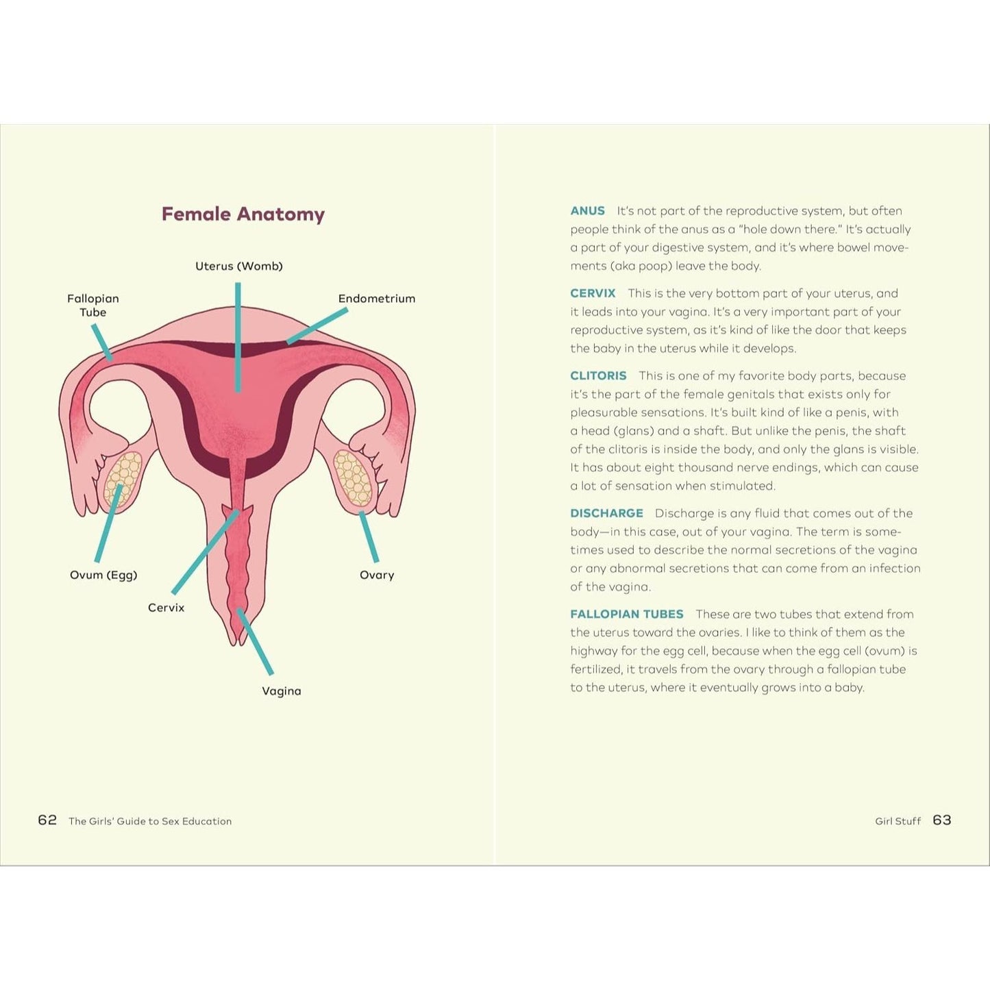 The Girls' Guide to Sex Education: Over 100 Honest Answers to Urgent Questions about Puberty, Relationships, and Growing Up