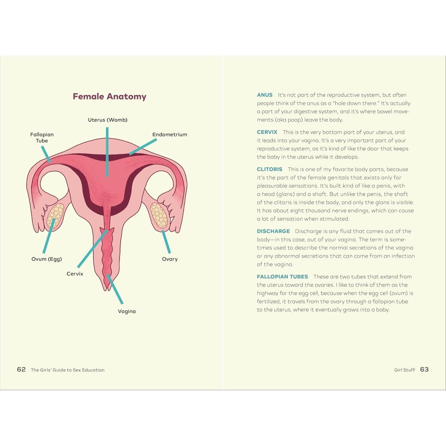 The Girls' Guide to Sex Education: Over 100 Honest Answers to Urgent Questions about Puberty, Relationships, and Growing Up
