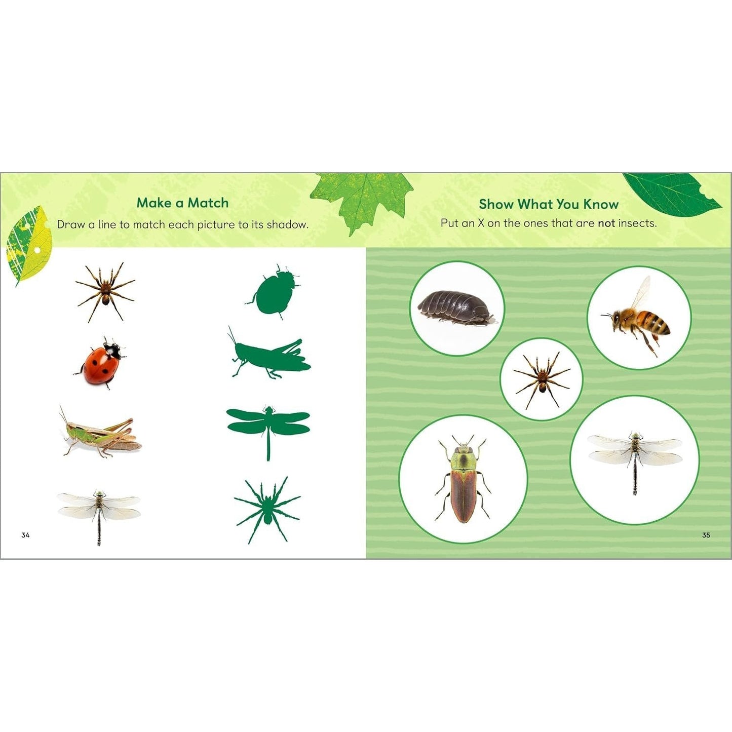 The Backyard Bug Book for Kids: Storybook, Insect Facts, and Activities (Let's Learn about Bugs and Animals) (Spiral Bound)