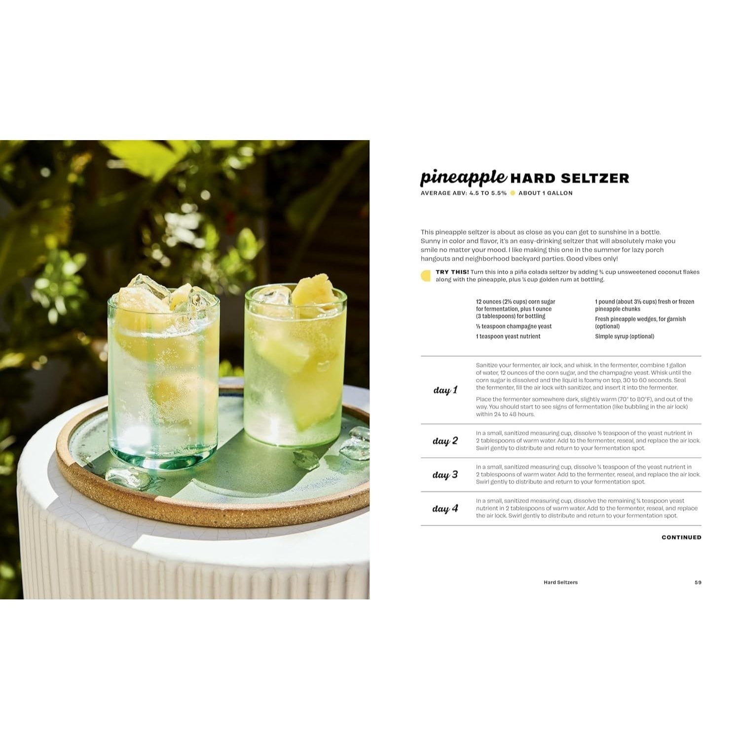 Hard Seltzer, Iced Tea, Kombucha, and Cider: How to Make Your Own Boozy Fermented Drinks
